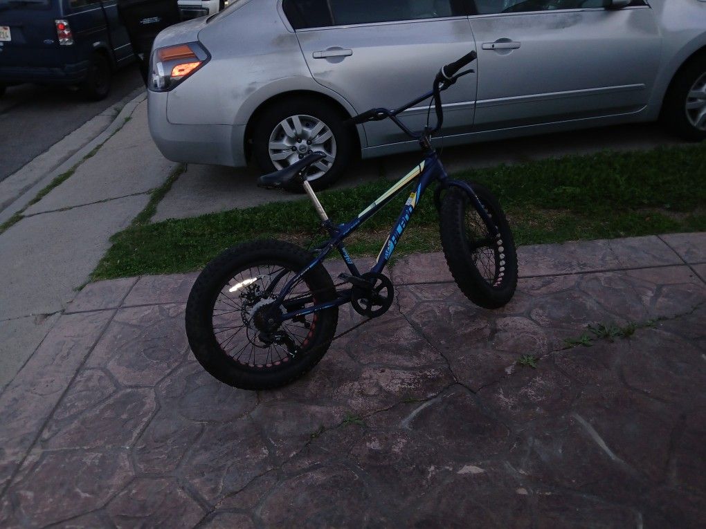 20 Inch Fat Tire Bike