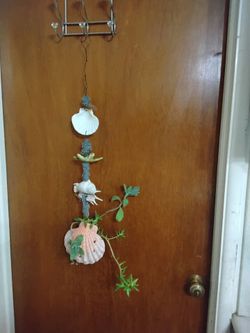 Hanging plant