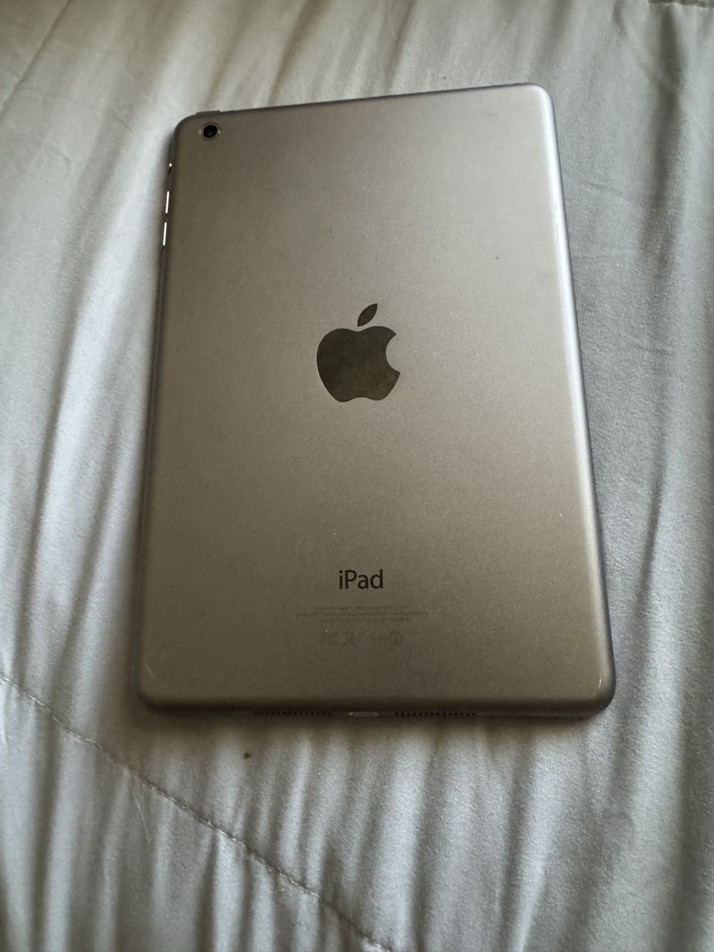 iPad Mini (1 Gen )