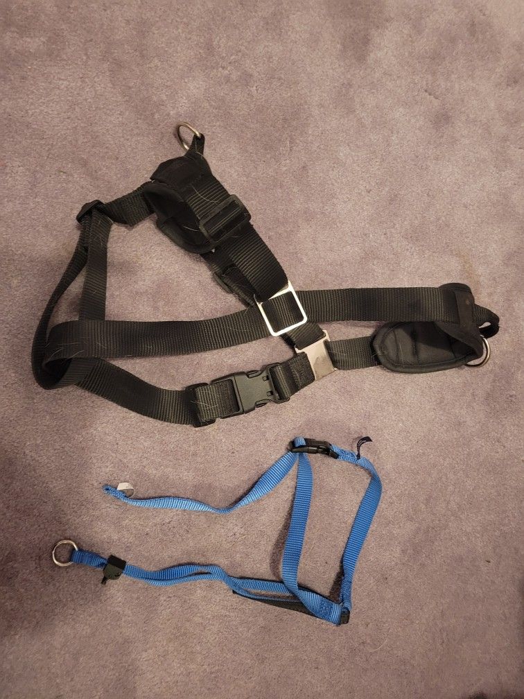 Gentle Lead & No Pull Dog Harness