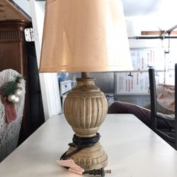 Small Size Lamb Easy To Please Very Cute