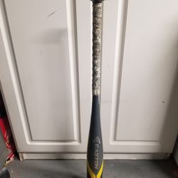 Baseball Bat