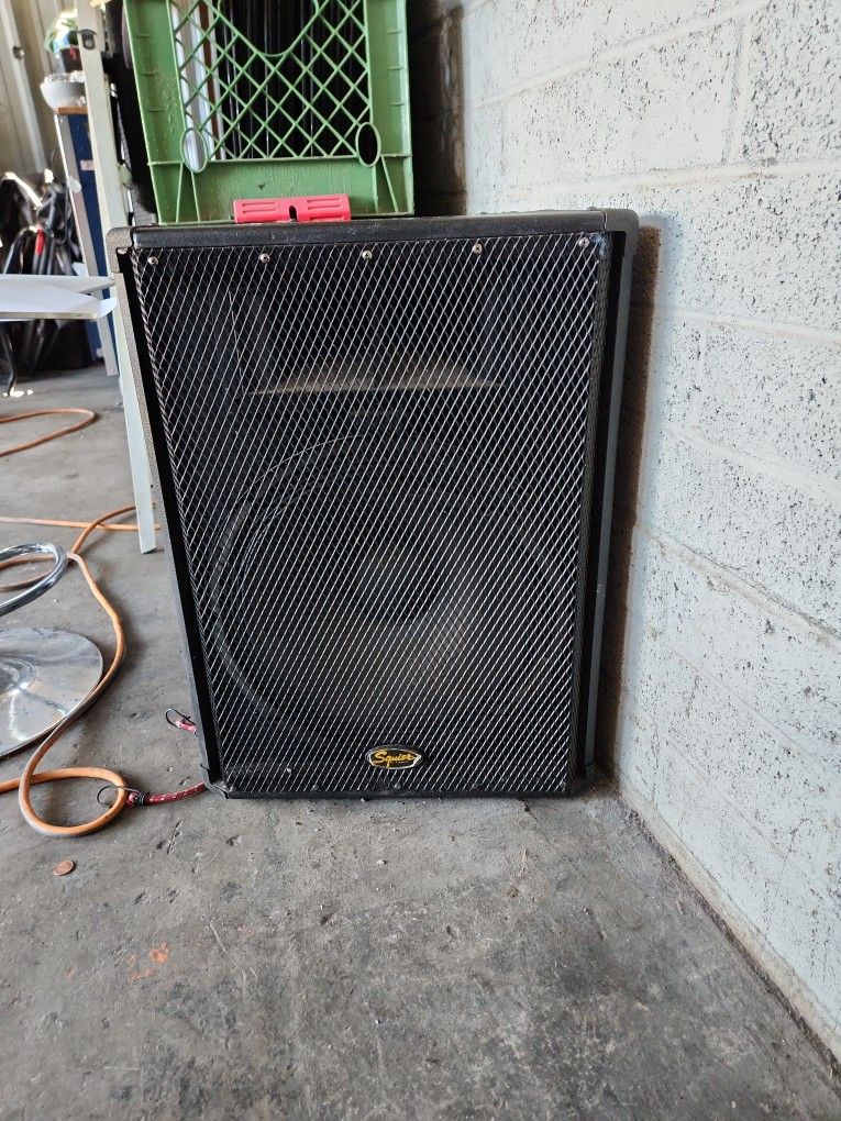 Squier SQ15 PA Loudspeaker