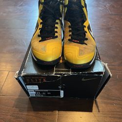 Lebron 9 Elite Taxi
