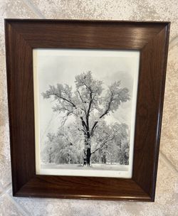 Great Wide Wooden Vintage Frames