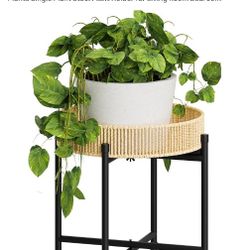 Plant Stand 