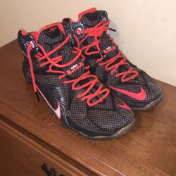 Size 12 Lebron’s