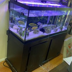 70 Gallon Fish Tank With Stand 