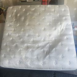FREE MATTRESSES (2) 