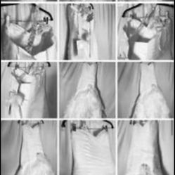 Brand New Wedding Dress For Sale Paid $3000 Asking $1,000 Obo Size 5 To 6 Depending On Fit 