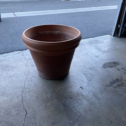 Pot
