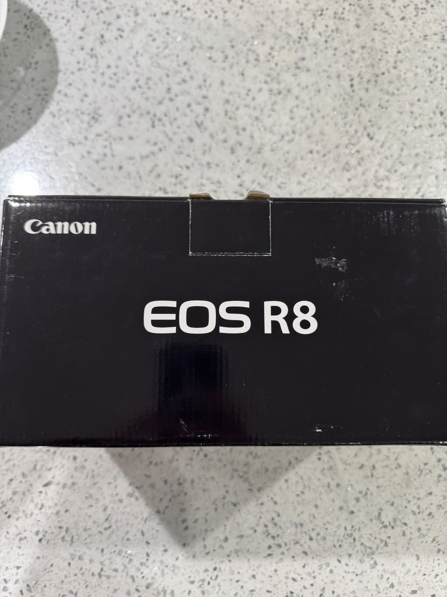 Canon Eos R8 Mirrorless Camera