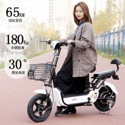 Tiger Jet Electric Bike Scooter 500 Watt 