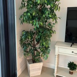 Tall Decorative Tree With Flickering Lights