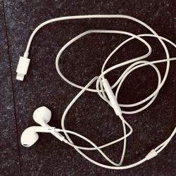 Apple Headphones 