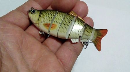 Swimming Fish Bait 2 Pack