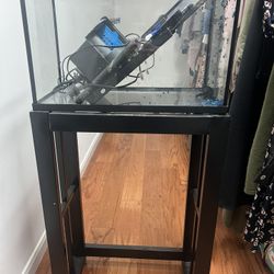 Fishtank