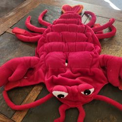 Dog Lobster Costume