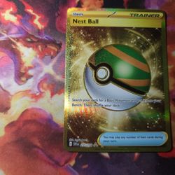 Nest Ball 