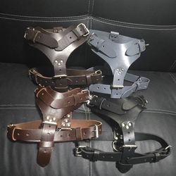 Dog Harness