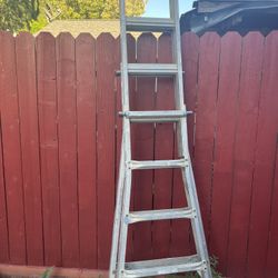 Multi Position Ladder 