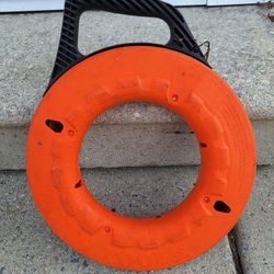 Electrical Fish
