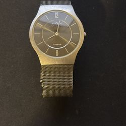 Skagen Men's Titanium Charcoal Dial Watch (model 233LTTM).