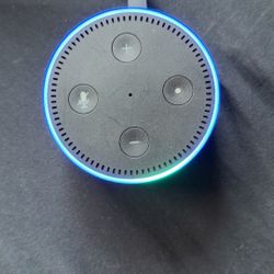 Amazon Echo 