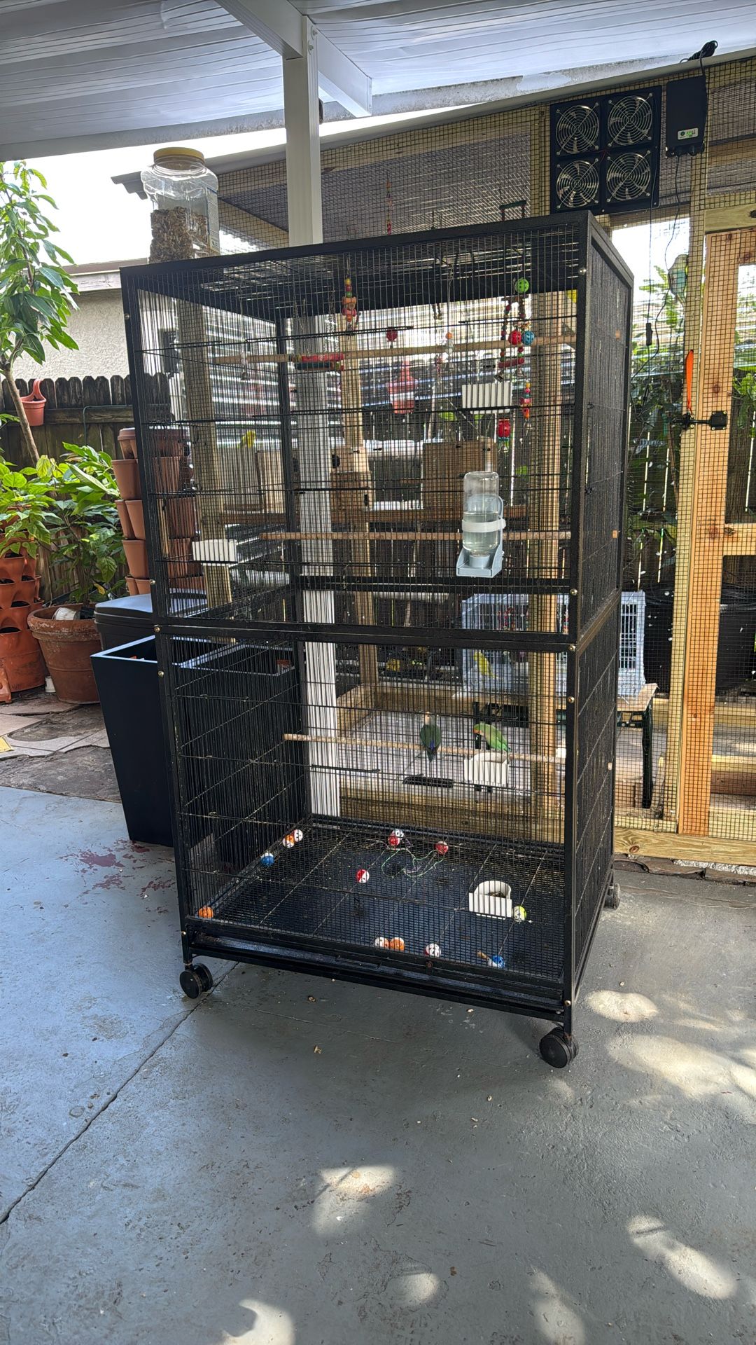 Big Bird Cage Great Conditions