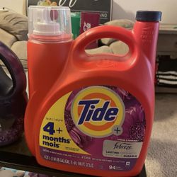 Tide Liquid 100 Load Container