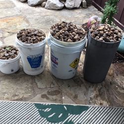 Landscapers Rocks 
