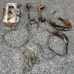 Tree Climbing Gear