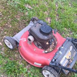 Lawn Mower 