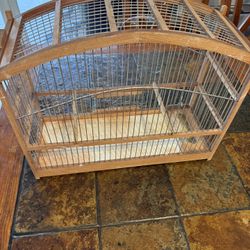 Bird Cage 