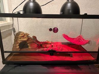 Reptile 40 gallon tank