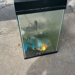 Fish Tank $65 OBO