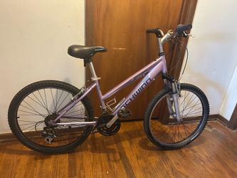 Schwinn 24”
