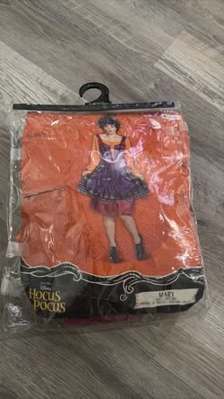 Hocus Pocus Halloween Costume (Mary)