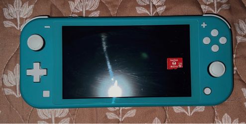 Nintendo switch light