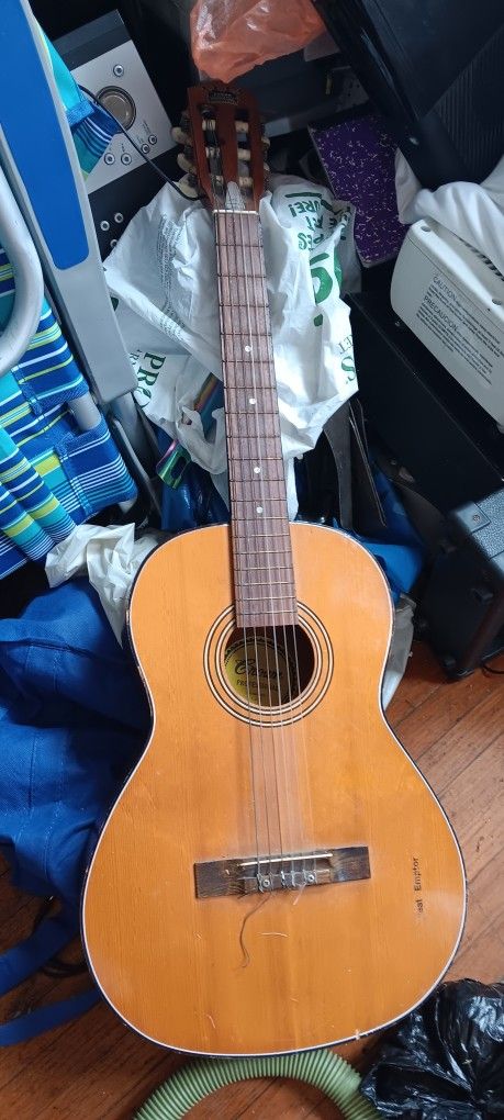 Crown Professional Vintage Guitar