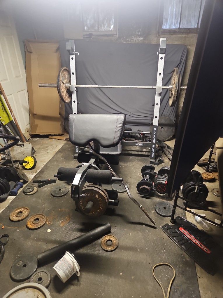 Olympic bench no weights