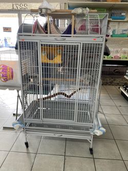 Bird cage