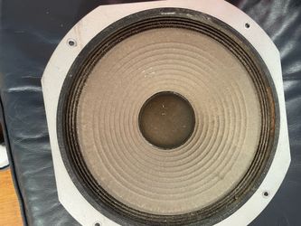 12 inches pioneer. Speaks.