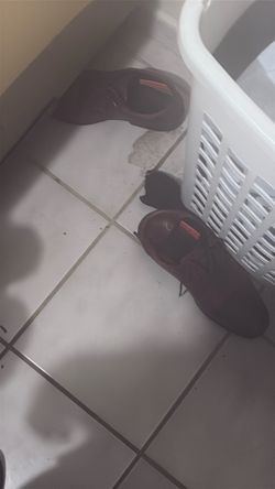dress shoe size 9.5