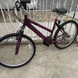 Roadmaster MTN Sport SX Bike 26" Women