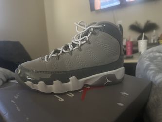 Jordan Cool Grey 9s