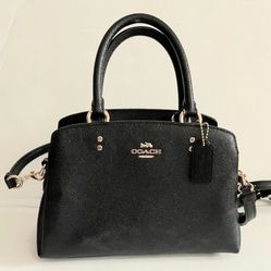 Coach Carryall Bag