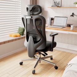 Hbada P3 Ergonnomic Office Chair with 2D Adjustable Lumbar Support, Office Chair with Adjustable Headrest and Armrest, 145° Stepless Tilt Function, Bl