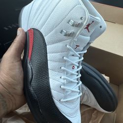 Jordan 12 Size 11.5