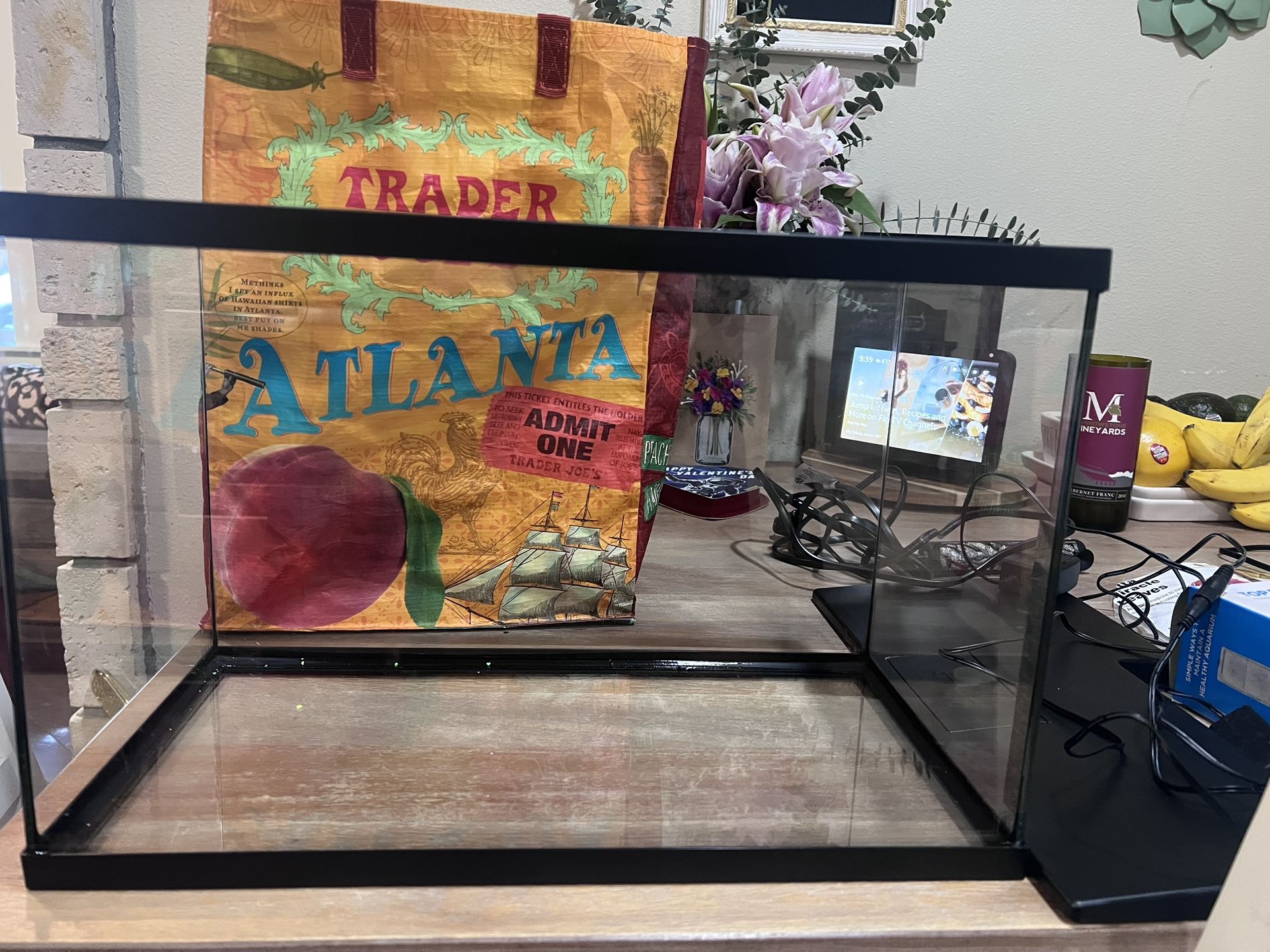Best Starter Fish Tank Set Up! All You Need!!!